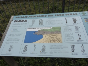 Cartelería informativa de la flora que se puede encontrar en el Cabo de Peñas