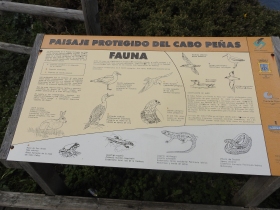 Cartelería informativa de la fauna que se puede encontrar en el Cabo de Peñas